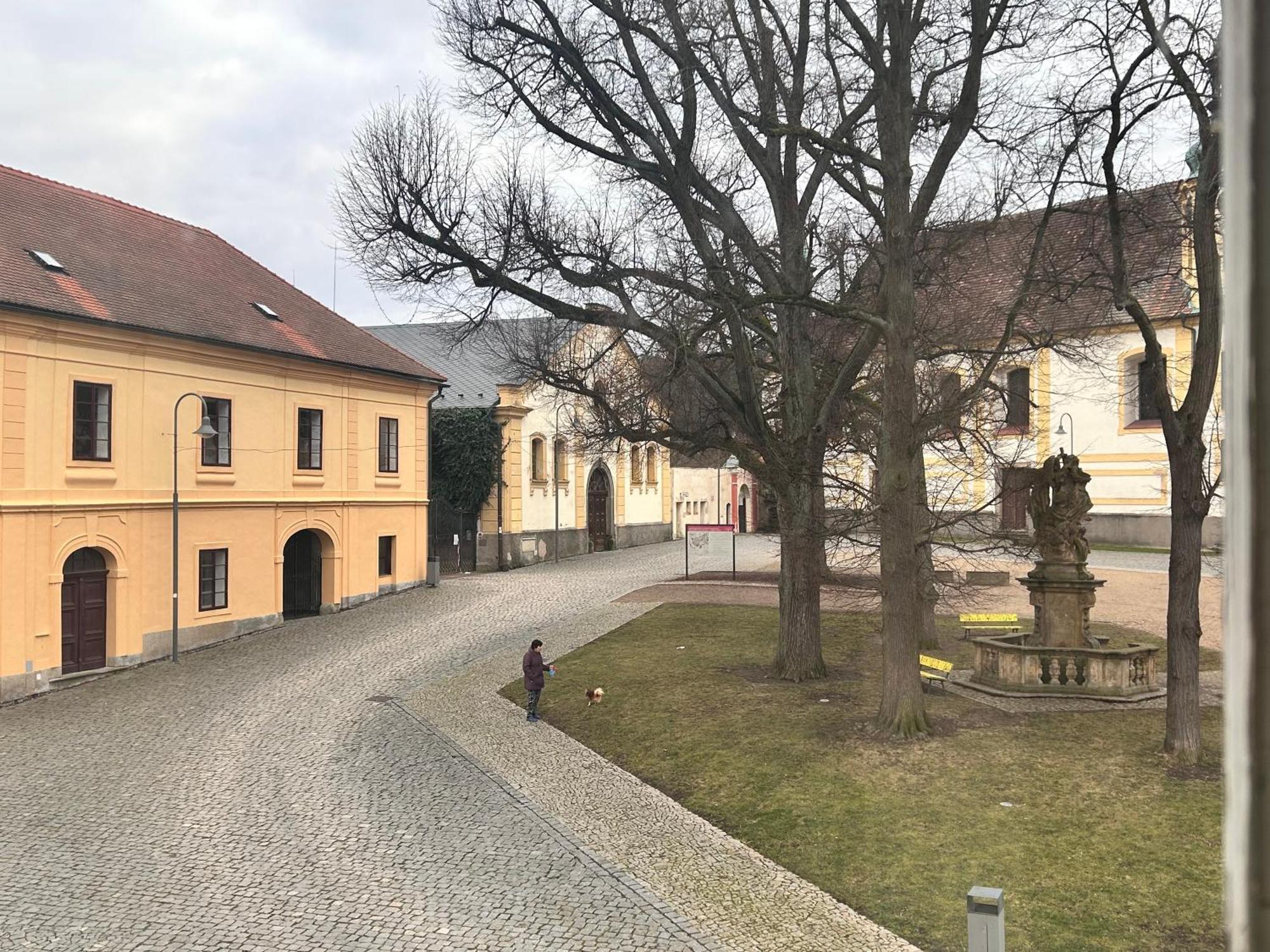 Restaurace A Penzion Podloubi Opočno Eksteriør bilde